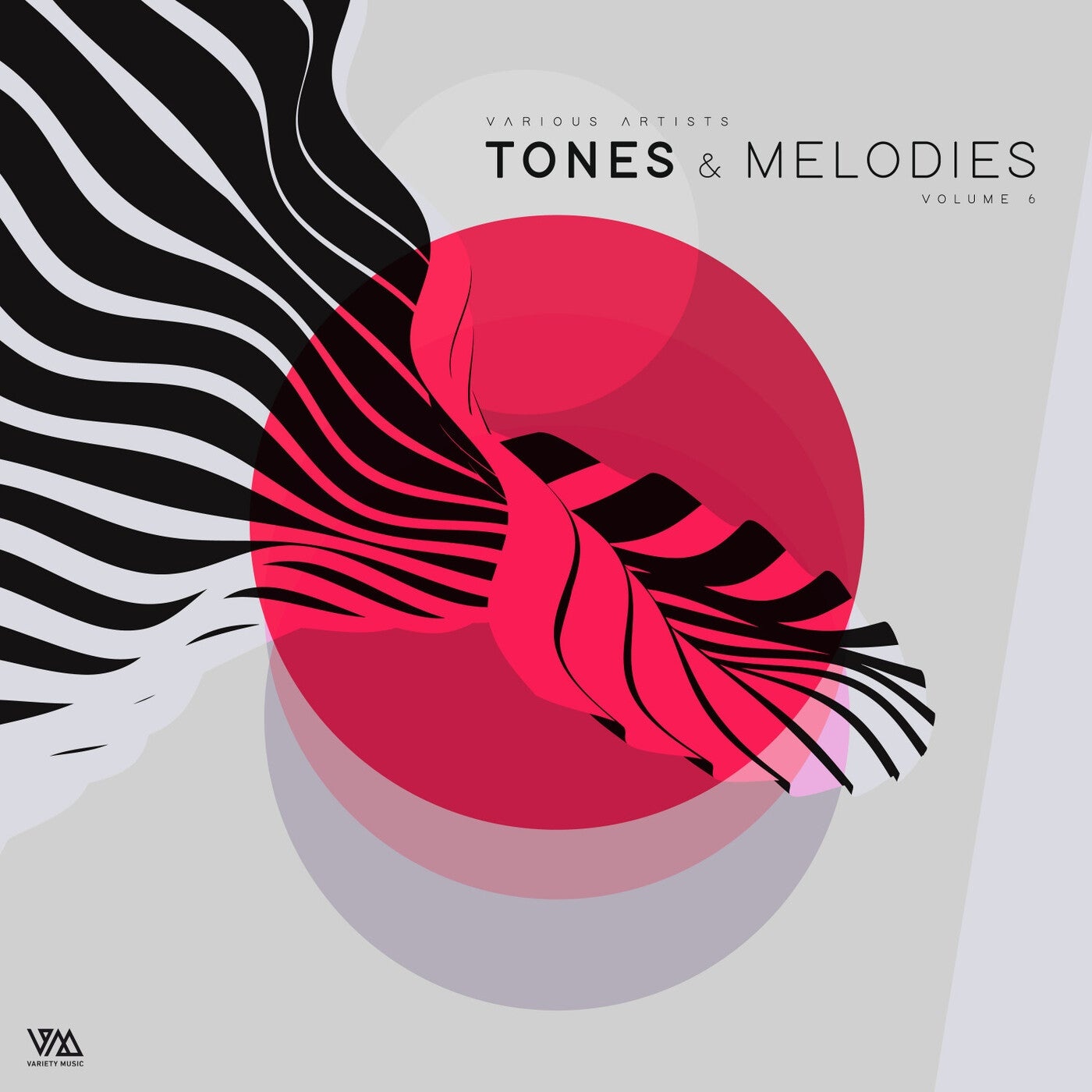 VA - Tones & Melodies, Vol. 6 [VMCOMP807]